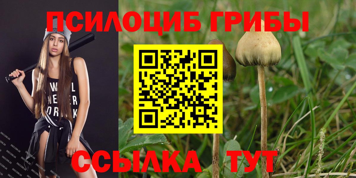 Меф кристаллы  COCAIN  Отрадный  Альфа ПВП СК кристаллы  МАРИХУАНА  Гашиш  Вход с VPN 