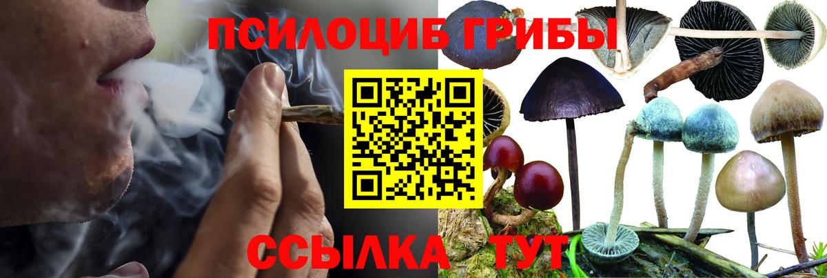 Галлюциногенные грибы ЛСД  цена наркотик  Отрадный  Галлюциногенные грибы GOLDEN TEACHER  Вход с VPN 