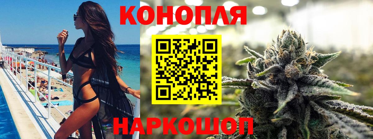 Каннабис OG Kush  Вход с VPN  Канабис планчик  Отрадный  МАРИХУАНА Bruce Banner 